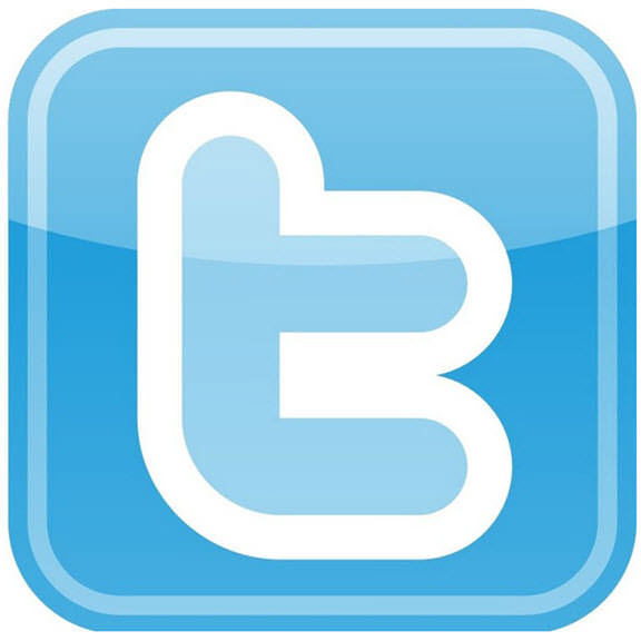 botones-oficiales-redes-sociales-twitter